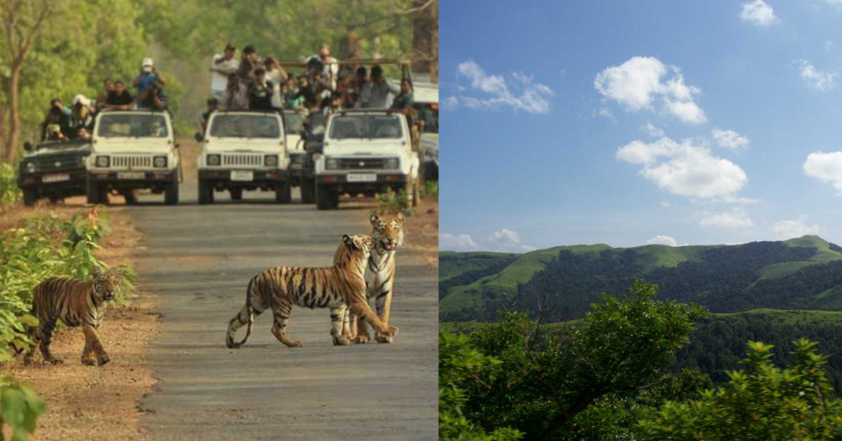 5 National Parks in Karnataka That You Must Visit! | SUPERRlife