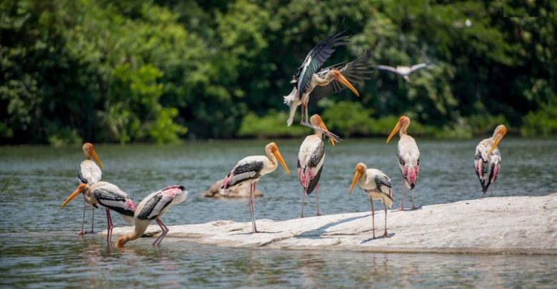 bird sanctuaries in Karnataka